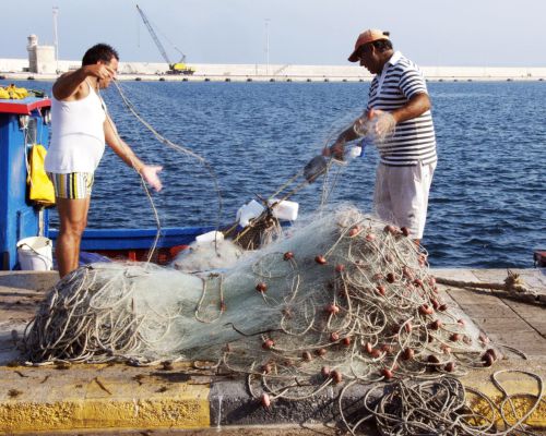 Verse vis uit de havens van Puglia