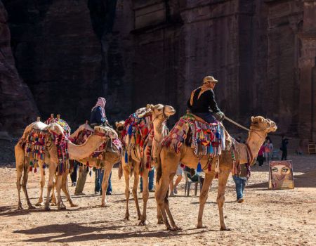 kamelen in Joranie