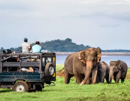 Sri Lanka national park