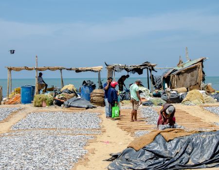 vissersplaats sri lanka
