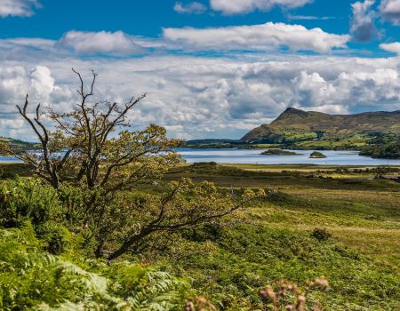 Natuur Ierland