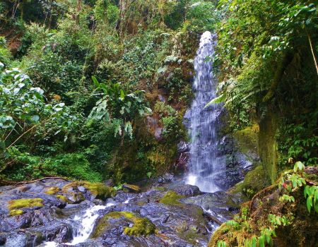 Waterval in regenwoud van Costa Rica