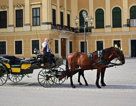 Paard met Koets - Oostenrijk