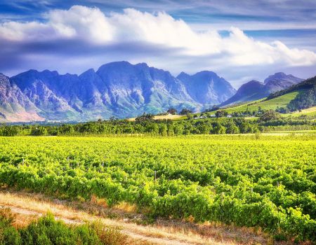 landschap zuid-afrika