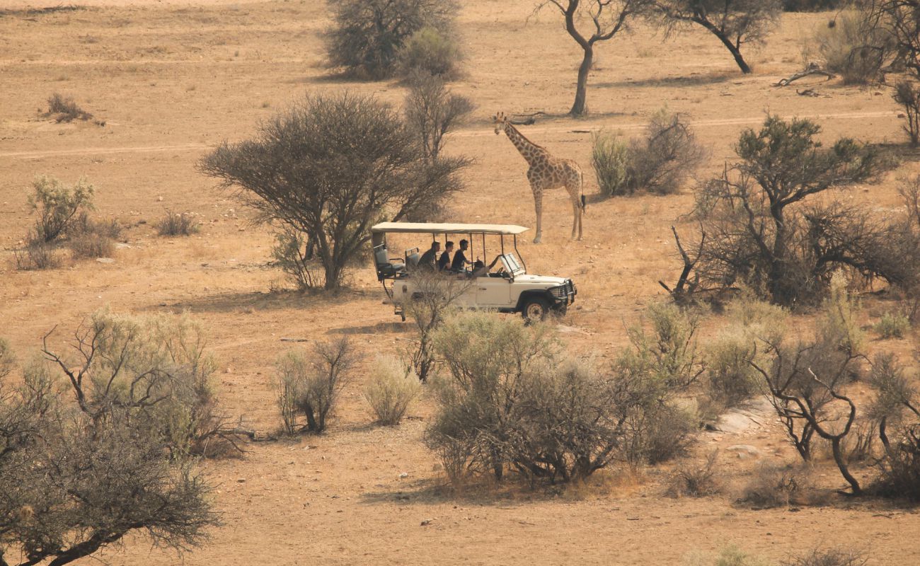 jeepsafari